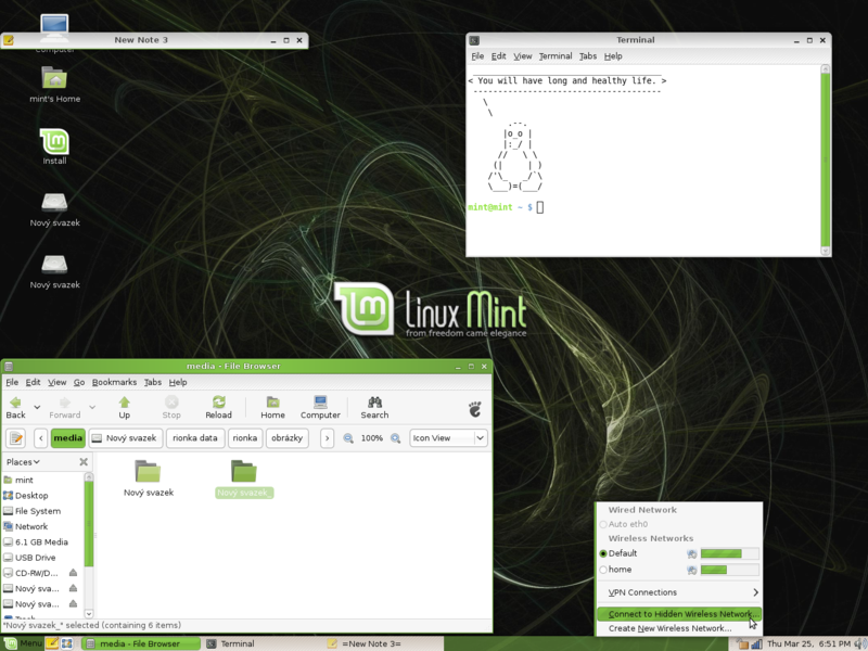 Linux Mint 6 (Felicia) with GNOME 2.png